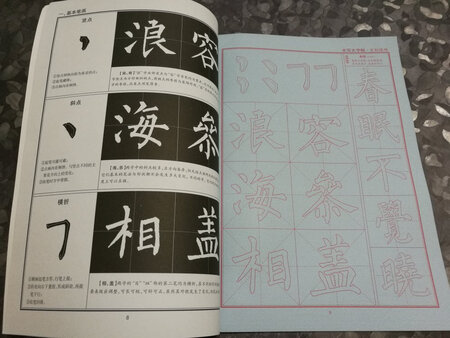 临帖是以像为标准，但不是目的，目的是要掌握用笔和结构原理。勾描得再像也没有用，要以用笔的起始行走方法去写，写后墨迹的边缘刚好与原帖笔画的外廓相近，而不是用笔去覆盖勾描出帖中的笔划。字帖纸的质量很好，印刷的也很清晰，内容非常丰富。物流很快（第二天就到了），快递小哥态度很好！买东西就上京东没错的 ，不管少数人怎么诋毁我始终坚信不疑。