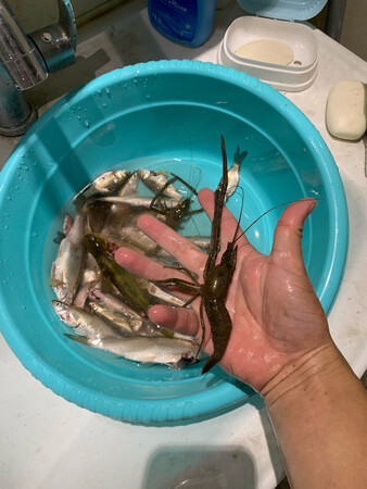 质量挺好，很满意。