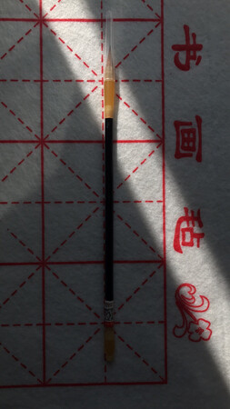 不错?还没有试用