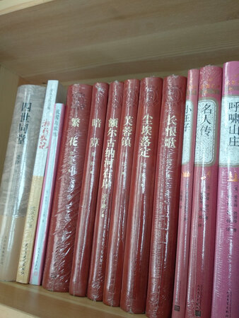 人民文学，正版图书，开卷有益，经典气息，扑面而来，欣喜阅读，五星大赞！