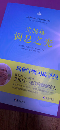 很好 很详尽 不愧是鼻祖 永远崇敬 永远膜拜 永远坚持瑜伽 冥想 带自己进入到更好的自己 使自己健康 平和 值得购买