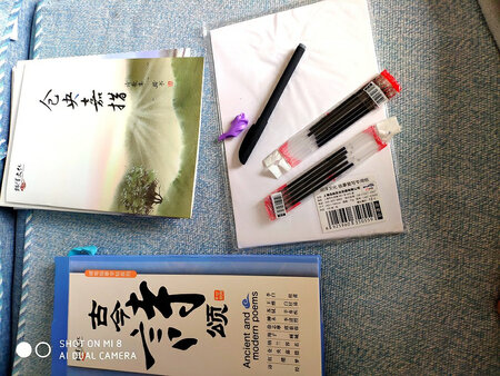 一共10本，质量很好，纸张厚实，质感不错。还带了一本临摹纸，两只笔两包笔芯，足够用了，非常值