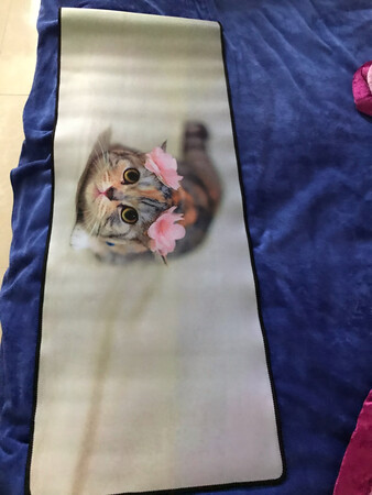 很不错的垫子，图案精美，下次再买个更大的。