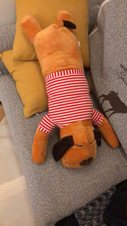 软软的狗狗，抱着很舒服，适合小孩子，大人抱着有点小