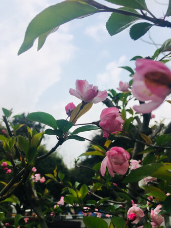 产品包装：严实
外形外观：好看
成像效果：清晰
总体感觉良好，新手入门挺合适的。慢慢摸索更多的实用