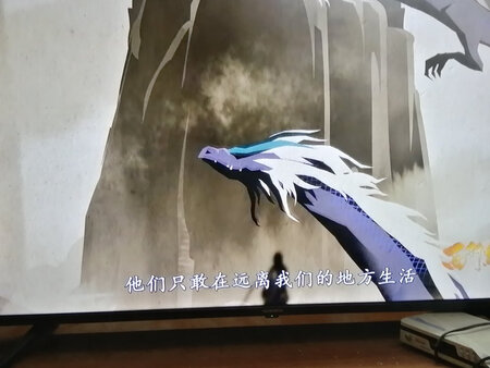 外形外观：非常大
运行速度：快
屏幕音效：很好
尺寸大小：大
功能效果：很好