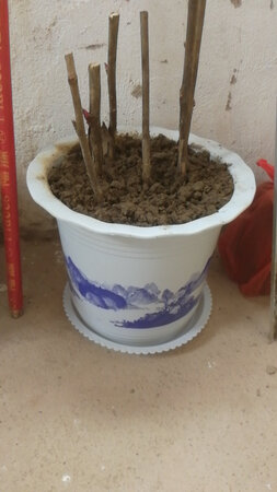 质量挺好，很满意。