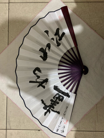 非常好 稍微有一点阴 不过不影响 质量还可以