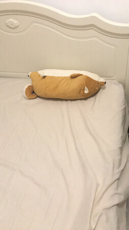 睡眠最重要的是什么！舒服的枕头舒服的床垫舒服的心情！