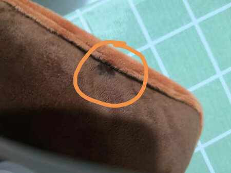 是否安全：居然漏水，差点把人汤了，这样的安全吗？