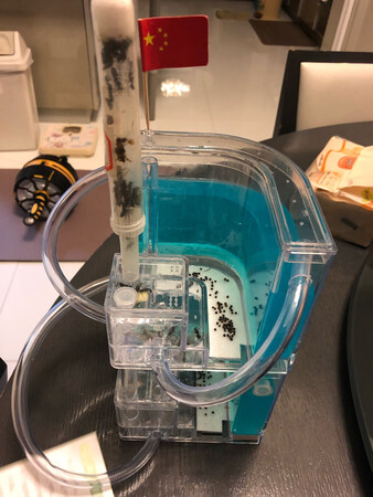 物流管理速度非常快，蚂蚁好