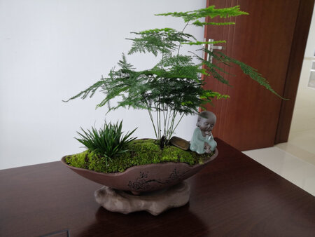 质量挺好，很满意。