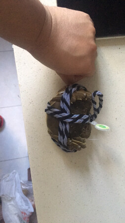 真是坑，**。自己看吧。事实说话