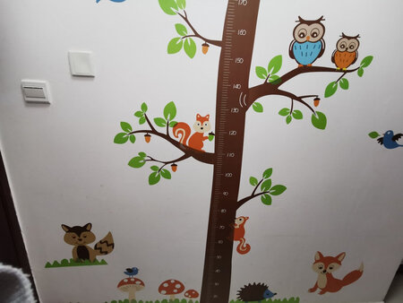 适用场景：卧室，客厅，走廊都可以，色彩鲜艳，很好搭的；
产品气味：气味并不是完全没有的，我贴到了卧室，在房间没闻到有什么，出去后再进来就会味道不好的味道，通风几天再看看还有没有了；
大小尺寸：一米八乘以一米八的墙完全可以放得下；
其他特色：卡通图案很可爱，尺寸验证了一下很准确，物流也很快，缺点是小鸟的眼睛太空洞了，自己用笔画了个黑圈圈。
