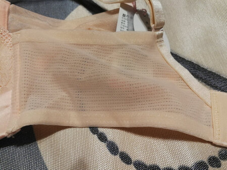 这款是最舒服的，面料超柔软，无钢圈，棉质面料，为了乳房好还是买无钢圈的。这次活动还买了其他特价款，比较划算，随便穿穿，半年也该换了。同个公司的欧迪芬品牌比这个更好穿些，但也贵点，各有利弊吧，实在写不下去了。都市丽人是性价比比较高的一款内衣了，以后还买。。终于凑够100字了。好评好评好评