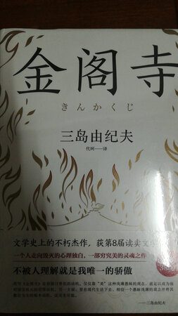 据说这个译本比较好，特地买来看拜读。