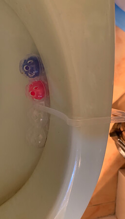 多次回购的东西了，挂上真的没有味道。用了一段时间就真的离不开了，因为住一楼，厕所一直有股反渗上来的怪味道，而且是老房子，也不能改变这个。所以就很苦恼，用了从日本带回来的除臭剂也没有比这个好用，唯一一点是用的比较快。