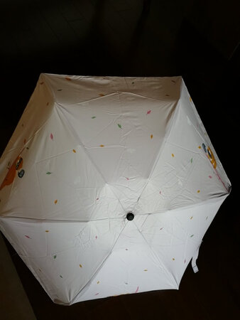 遮阳效果：遮阳防晒效果好。
防雨效果：防雨效果还没用过，应该还可以的吧。
尺寸大小：伞的尺寸很小巧，只有手掌那么大。
其他特色：一直买这个牌子的阳伞，质量不错，售后也蛮及时的，阳伞小巧玲珑，防紫外线的，夏天遮阳效果好，放在包里不占地方，携带方便，外观颜色都挺漂亮的，双十一打折搞活动买的，性价比高，产品不错