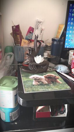 东西很好，价格不高，香味也不错，家里大人很喜欢！