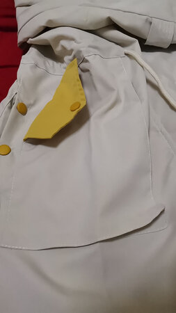 衣服，不知道怎么说，款式还是很喜欢的，就是这个加厚加棉不知道是怎么理解的，虽然是两层风衣，但是真的很薄，春秋可穿。衣服面料一般 没有立体感。衣兜的扣子也是假扣子，只能是样式，会外翻。帽子不可取，是和衣服连在一起的，黄色拼接部分，略微有些褪色。