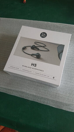双十一下的单，等了五天终于收到了，颜值很漂亮，音质先听段时间