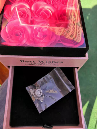当做生日礼物送的，这个小袋子看着掉档次