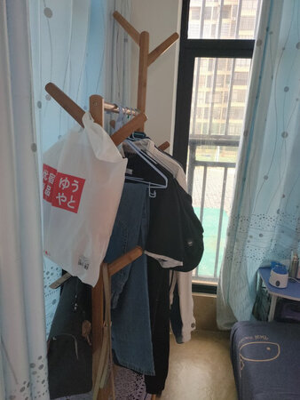 外观样式：好看，两边是树形的，
商品质量：不错，承重挺好的
配送服务：配送很快，包装完好
产品材质：应该是夹板，很轻，但是组装起来还是不错的
承重能力：承重能力强，挂了好几个包和冬天的衣服