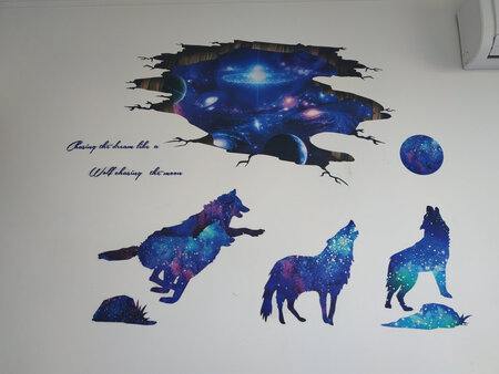 宇宙银河、星空狼，效果真的不错，孩子非常喜欢!