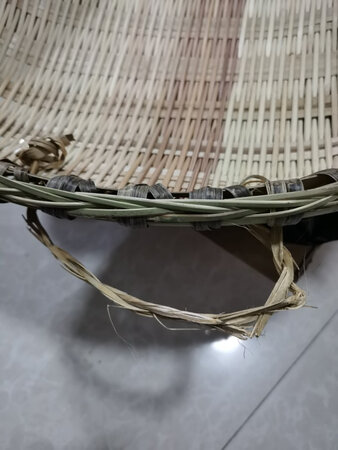买了两只，一只很漂亮，还有一只挂的地方有点坏了，整体来说还是不错