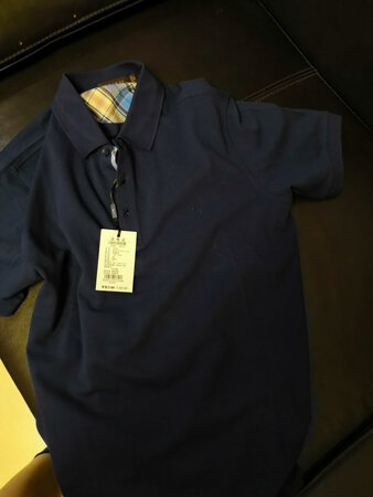 上身超帅，纯棉很舒服，为什么每次都会选蓝色短袖？