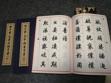 货已收到，非常满意，物有所值。跟书店看到的一模一样，比书店便宜将近一半价钱，开心！