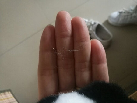 公仔挺可爱的，唯一的缺点就是要掉毛，这么贵的奢侈品居然要掉毛