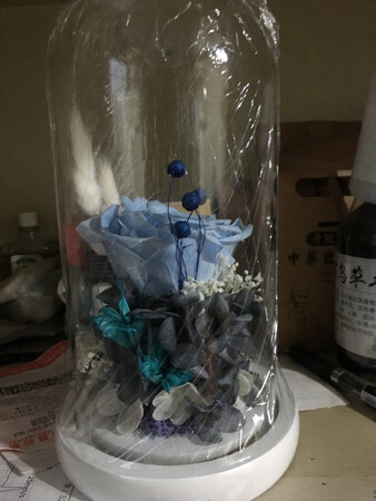 永生花收到了，工艺精致，效果很逼真，价格实惠，下次还会来。