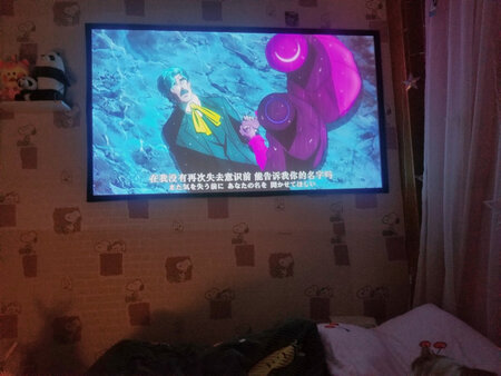 挺好的，虽然爱掉，但是我用胶条固定了。我本来的墙有墙纸，看不清，应该就是白墙效果吧，但是我很喜欢，有投影仪真的是太幸福了，555555555。幕布也不错啦，四个大字，物美价廉。这个价钱真的不亏，谢谢卖家。