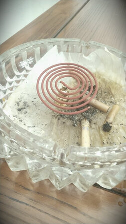 非常喜欢!自我感觉良好。