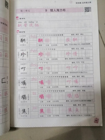 这个是新课标的，和新课本配套的，感觉还是比较不错的。孩子也喜欢。还会再来买的。