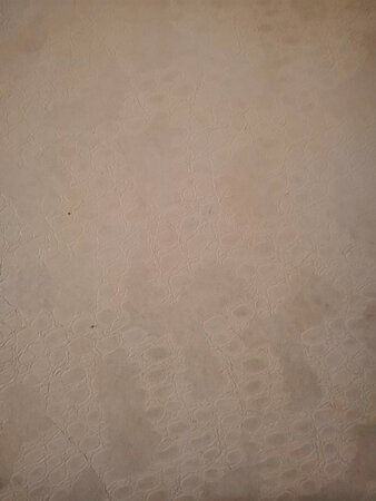 试用一下，效果还可以，轻松干家务。