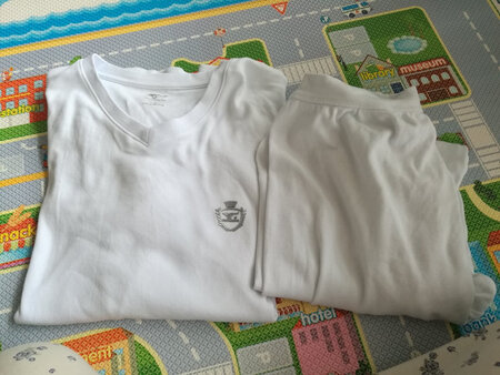 孩子爸爸上班需要穿白衬衫，家里面买的深色秋衣穿里面不合适，在京东自营里看见了这个七匹狼秋衣秋裤，价格也合适，下单买来试了一下175高，140多斤穿xl号正合适，料子是纯棉的摸着手感不错，又买了一套换着穿。希望能穿一阵子。最好有卖单件上衣的。