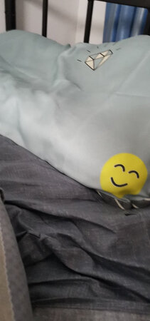每次收货都是非常愉快的，可是只要一想到还要给评价，头就大了。如果你是想看评论决定买不买这个宝贝，你可以打住了。因为我说的你不一定信，但是我自己却坚定不移的要给好评，为啥呢？这个宝贝，价格不错，质量不错，快递不错。
要是不好我就两个字差评，懒得说这么多。