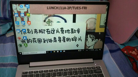屏幕效果：挺好的
散热性能：散热太频繁了 风扇加速声音有点大
外形外观：挺好
轻薄程度：方便携带
运行速度：开机速度快