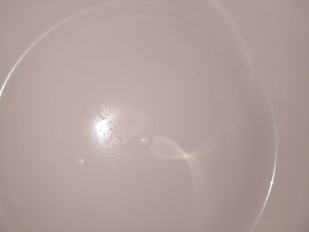 快递倒是挺快，包装可以，盆子下面有点脏，很多灰，能洗掉，盆子里面有类似贴标签的残留，这个不好洗掉，其他还挺好的