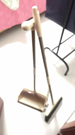 扫帚毛毛很软，很好用，灰盒里面的灰也不会出来，质量也特别好，很喜欢一一款，家里人都说买的好，很好用，用了很顺手，经常在京东上买东西，买了很多东西，家里大大小小的货物都在京东上置办的，京东自营值得信耐，京东物流也很快，前一天下单，第二天都到货，非常值得称赞?，