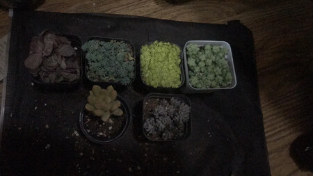 质量挺好，很满意。