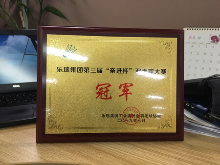 非常好的奖牌，高端大气上档次！很满意的一次购物，能挂，能摆。