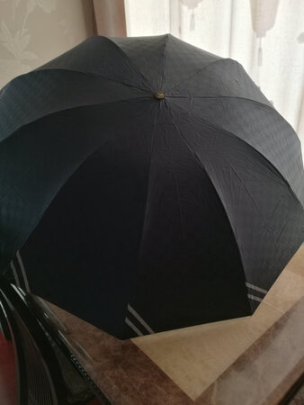 颜色很大气，质量过硬，伞面大，防晒防雨皆可，好用