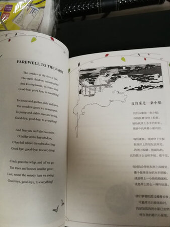 中英文对照，翻译的诗文很唯美。家里上小学的小朋友推荐购买。