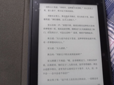 第二个KindIe了，反应灵敏，纯平感觉很棒！梵高的保护套也很漂亮，上图看效果。