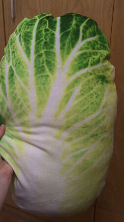 大白菜收到了 物流速度挺快的 大白菜也可爱 赞