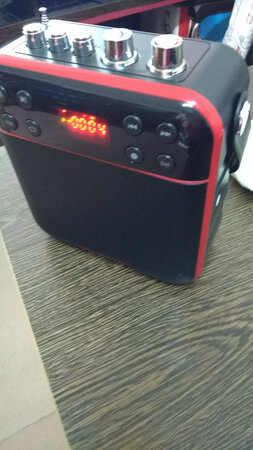 先科（SAST） 先科 蓝牙广场舞音箱迷你MP3播放器收音机充电老人便携式插卡听戏随身听低音炮音响 红色升级版
