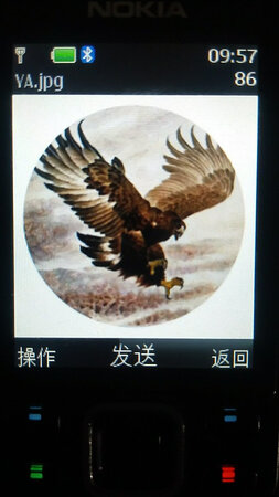 定货时给客服说帮我下载歌曲，客服一口应允。不但下载我说的，连我没有讲的他都帮我下载好了，歌曲听着音质很纯。问客服这内存卡是否能存图照片，且可正常查看，客服说可以存，可以查看。我蓝牙转存在该卡中后查看，确实可以查看转入内存卡的图照片。这次终于买到好的内存卡了，这1G内存卡显示实际总内存空间960**，可以了。以前1G内存卡实际内存空间也就950-980之间。需要内存卡的朋友，可以在这家定货了，绝对没有任何问题，放心定购！谢谢厂家，商家，物流，你们辛苦了！